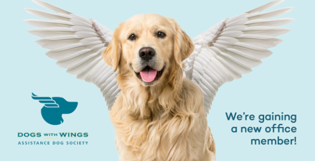 dogs with Wings